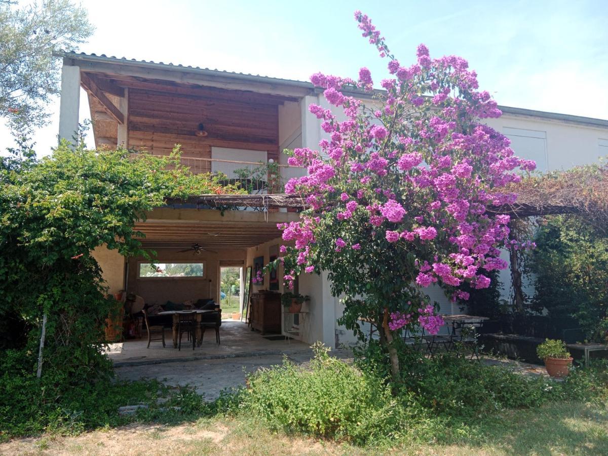 Domaine Limouzy Vila Narbona Exterior foto