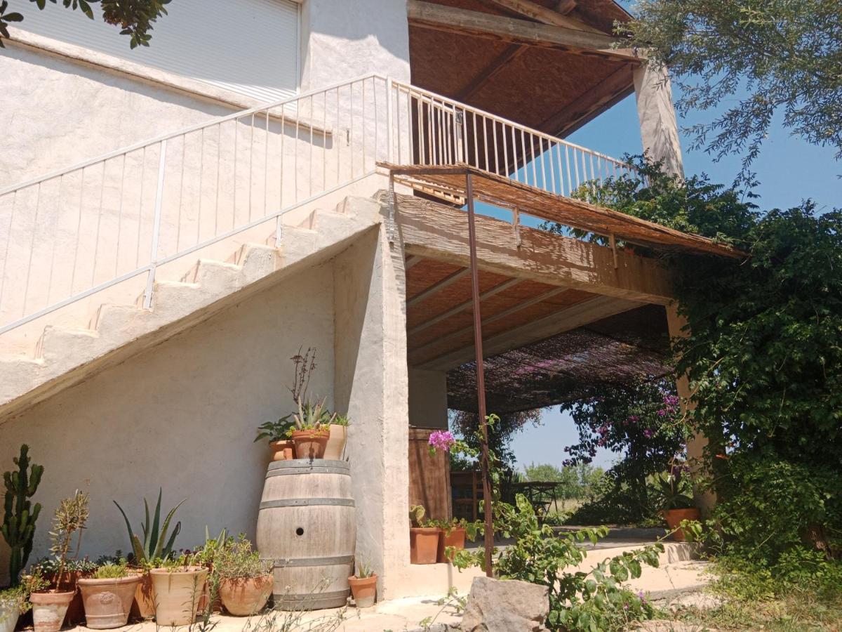 Domaine Limouzy Vila Narbona Exterior foto