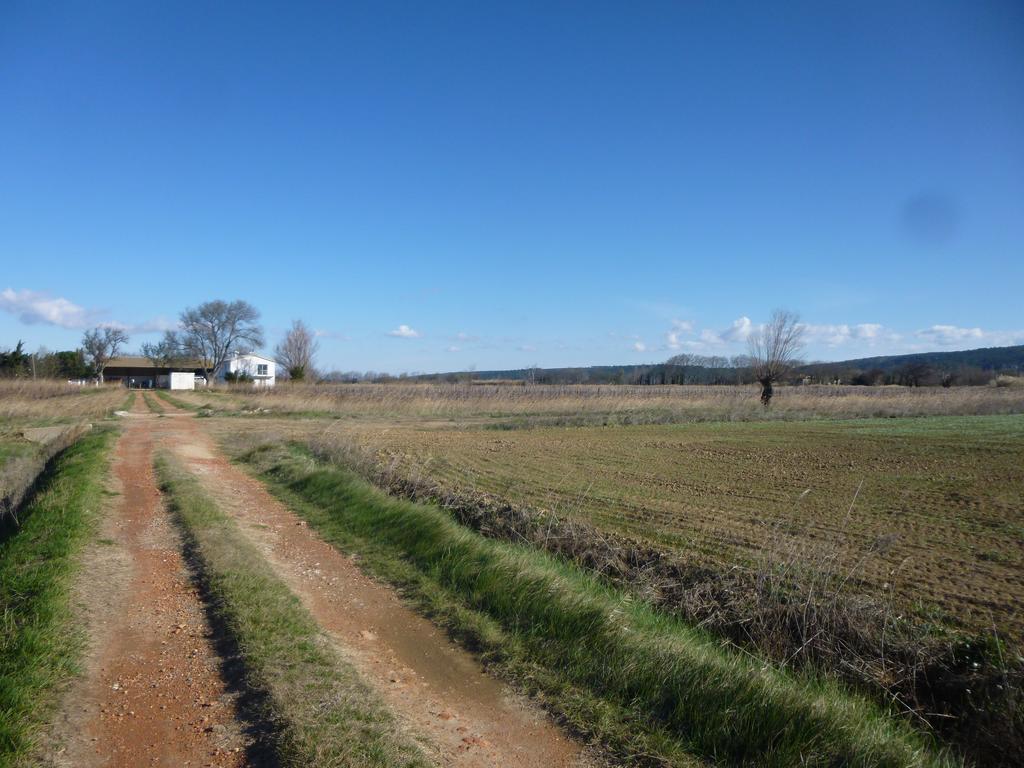 Domaine Limouzy Vila Narbona Quarto foto