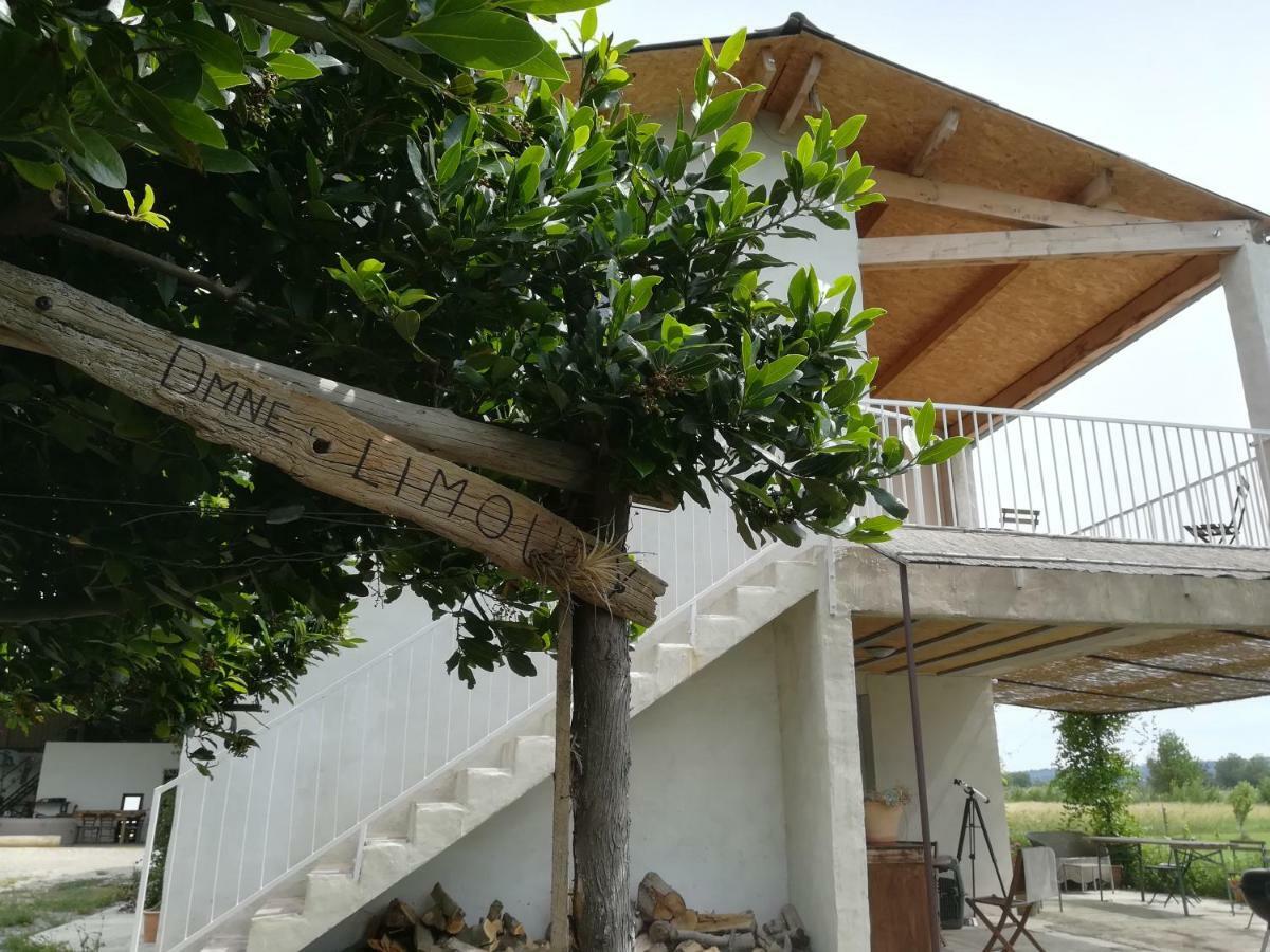 Domaine Limouzy Vila Narbona Exterior foto