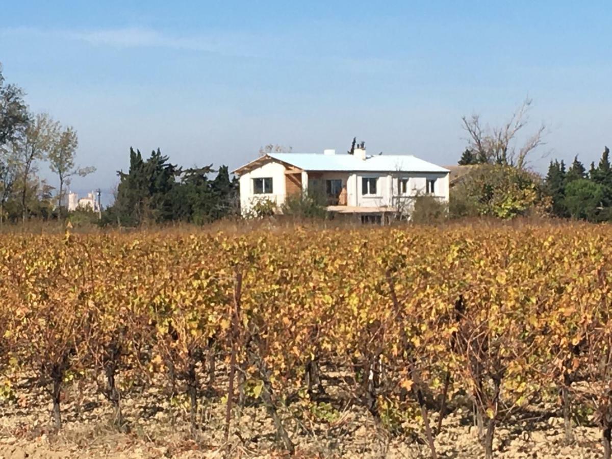 Domaine Limouzy Vila Narbona Exterior foto